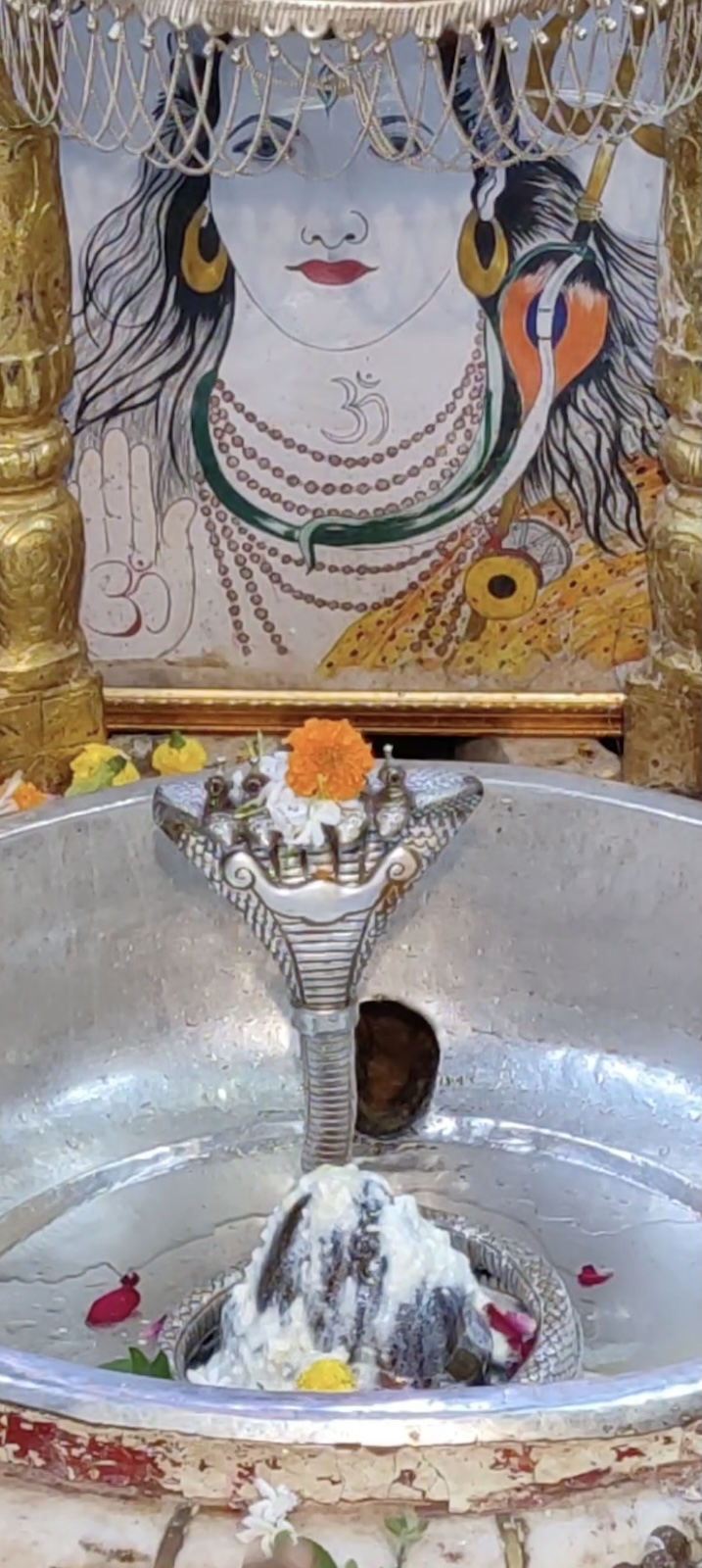 Rudrabhishek to Shree Kubereshwar Mahadev
