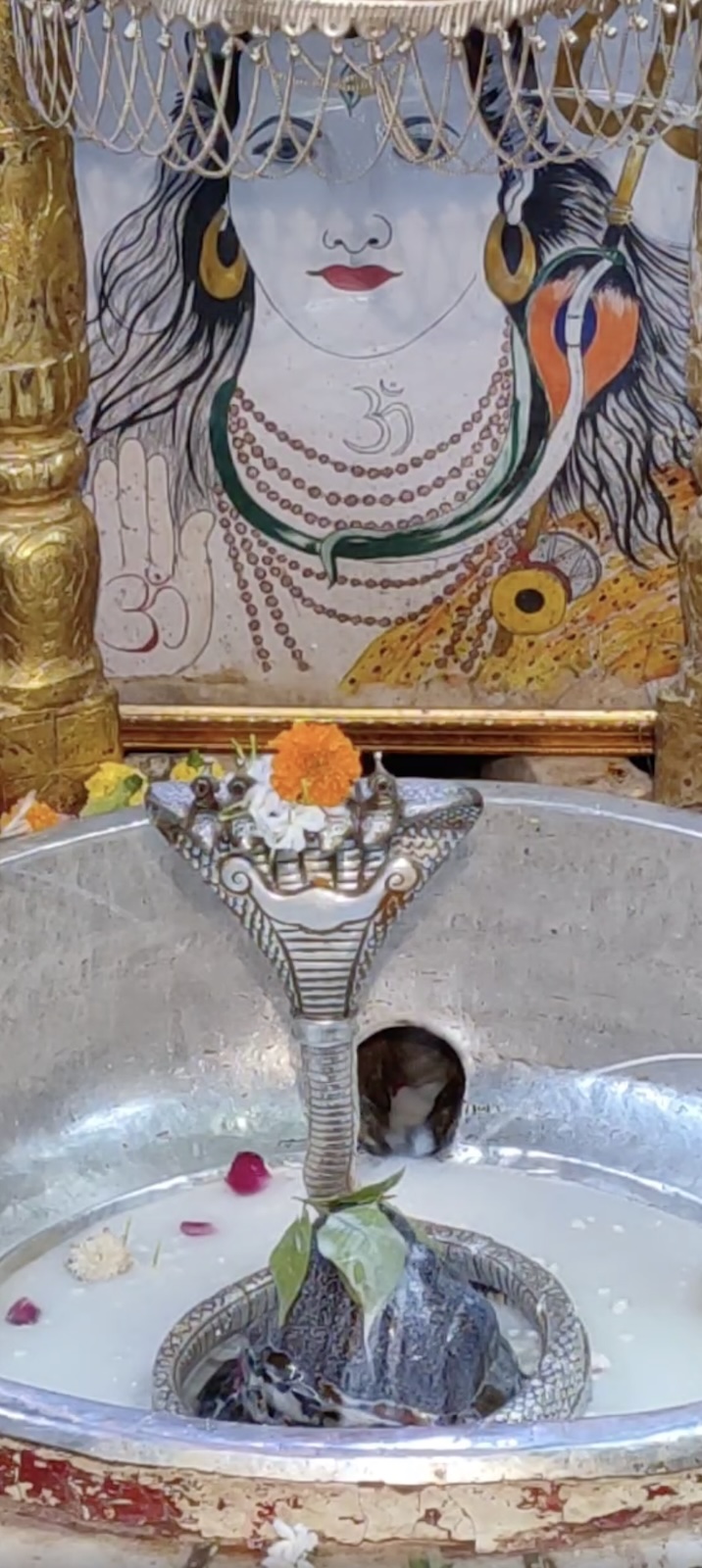Rudrabhishek to Shree Kubereshwar Mahadev
