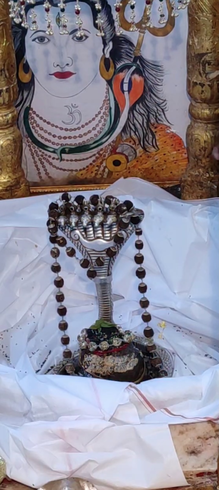 Rudrabhishek to Shree Kubereshwar Mahadev