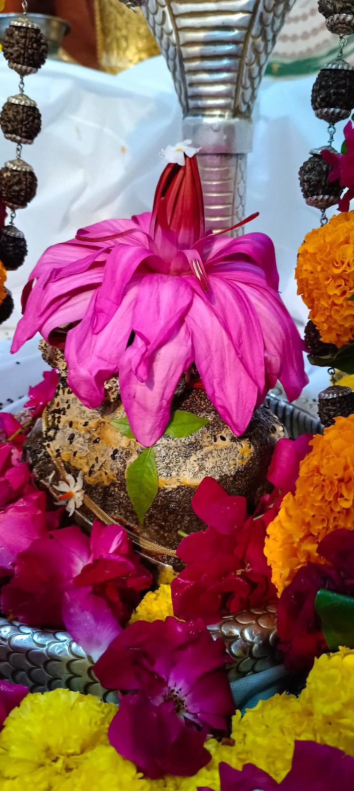 Rudrabhishek to Shree Kubereshwar Mahadev