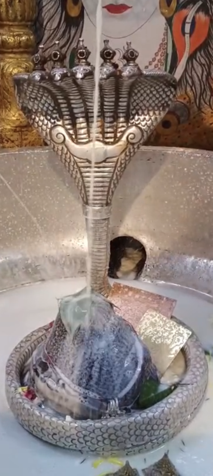 Rudrabhishek to Shree Kubereshwar Mahadev