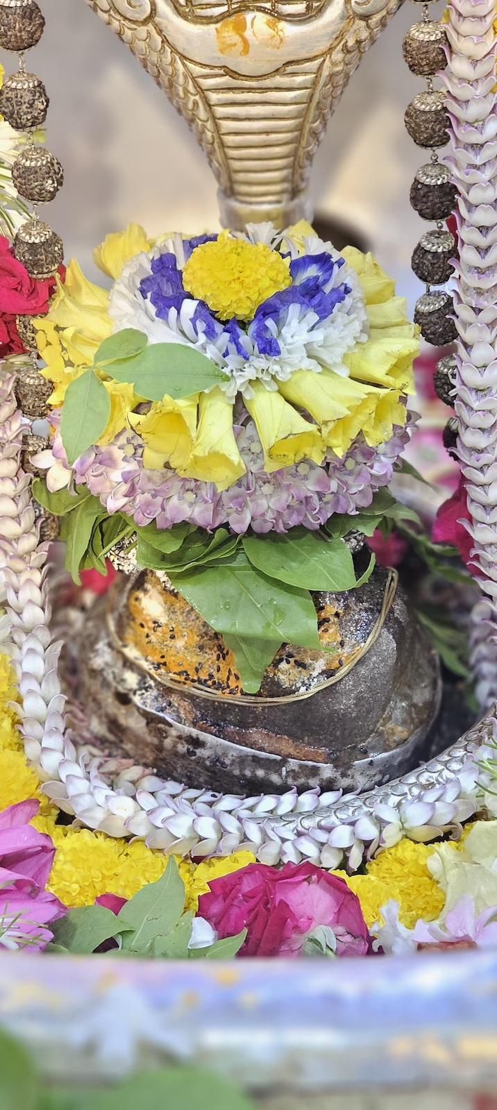 Rudrabhishek to Shree Kubereshwar Mahadev