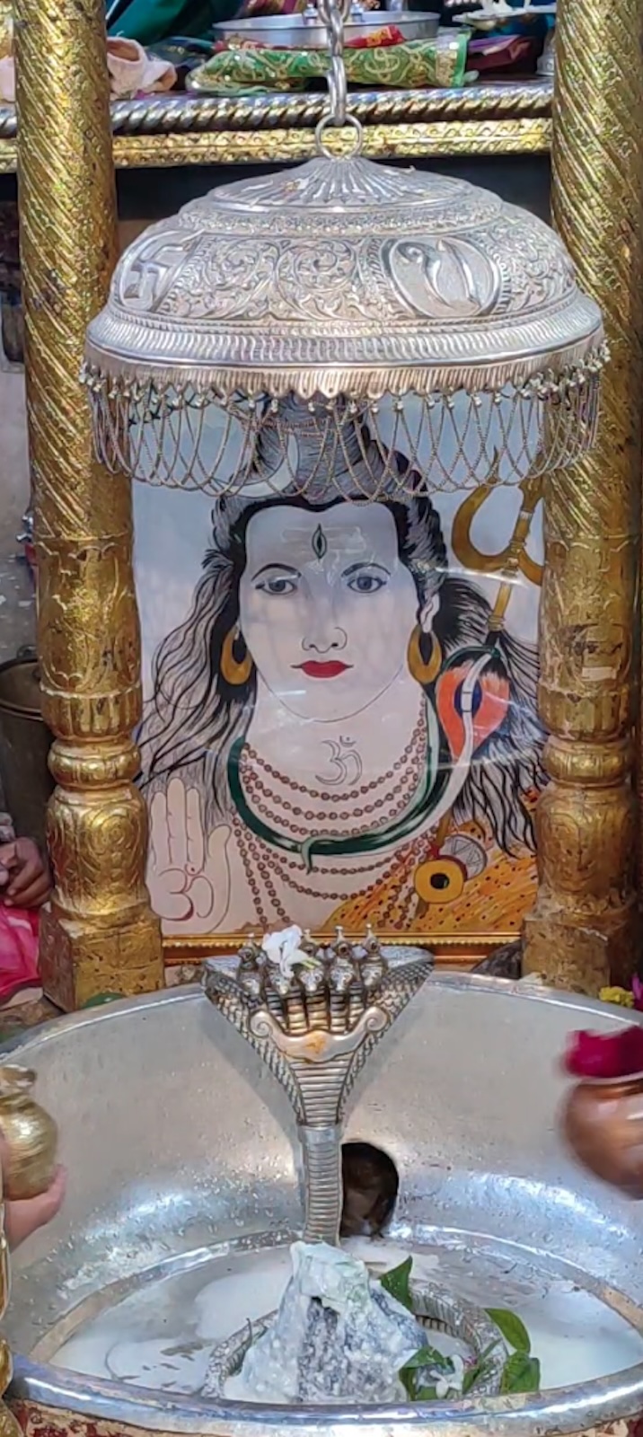 Rudrabhishek to Shree Kubereshwar Mahadev