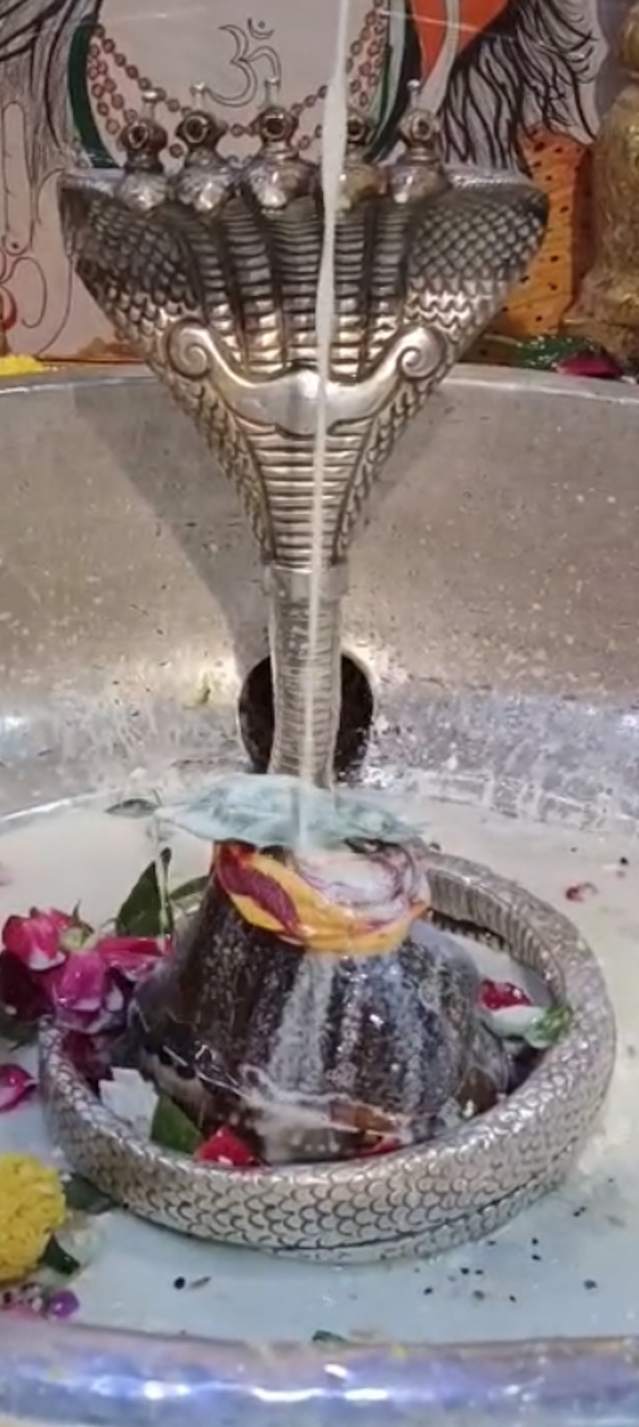 Rudrabhishek to Shree Kubereshwar Mahadev