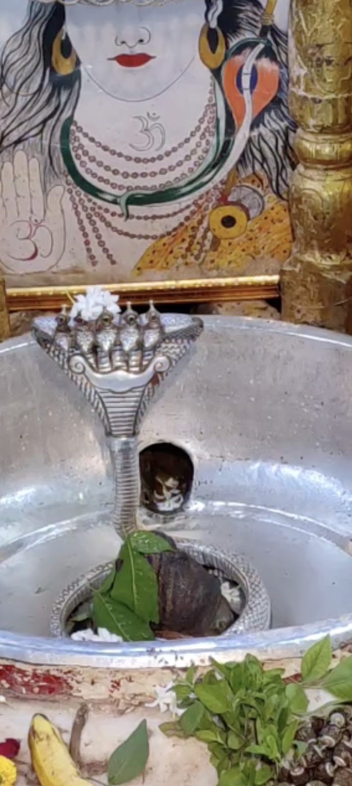 Rudrabhishek to Shree Kubereshwar Mahadev