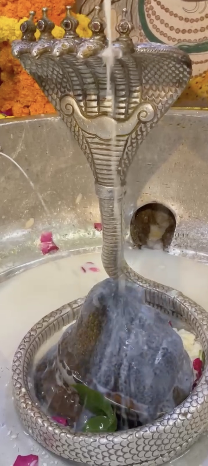 Rudrabhishek to Shree Kubereshwar Mahadev