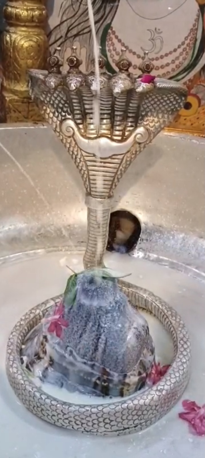 Rudrabhishek to Shree Kubereshwar Mahadev