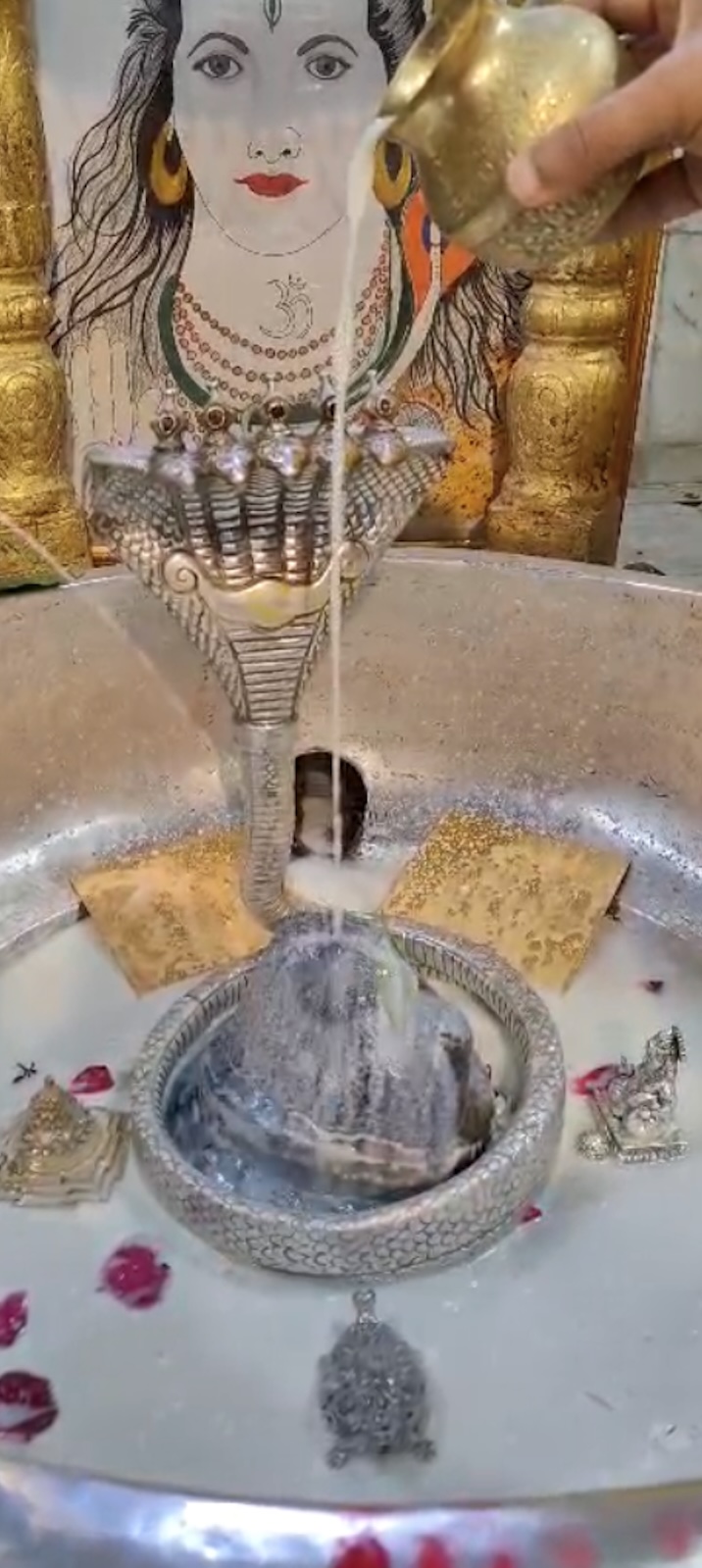 Rudrabhishek to Shree Kubereshwar Mahadev