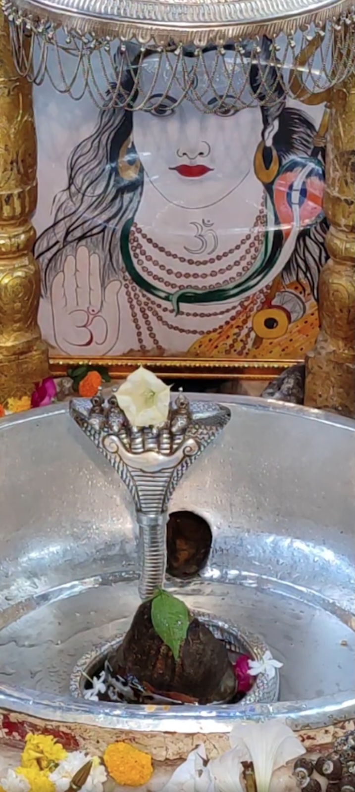 Rudrabhishek to Shree Kubereshwar Mahadev