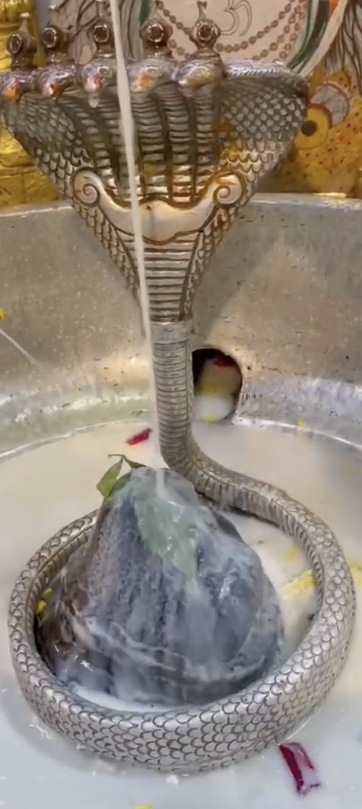 Rudrabhishek to Shree Kubereshwar Mahadev