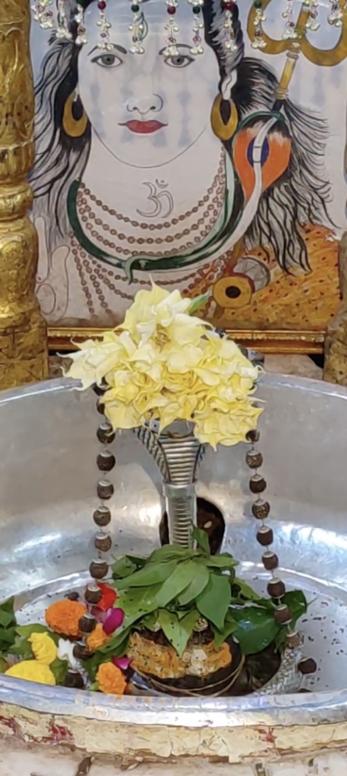 Rudrabhishek to Shree Kubereshwar Mahadev