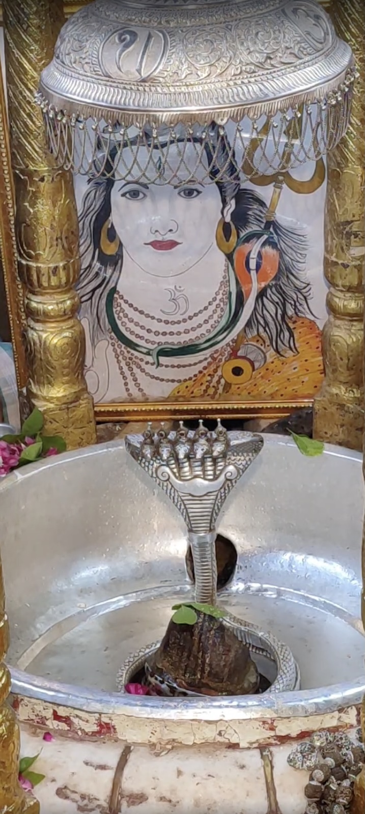 Rudrabhishek to Shree Kubereshwar Mahadev