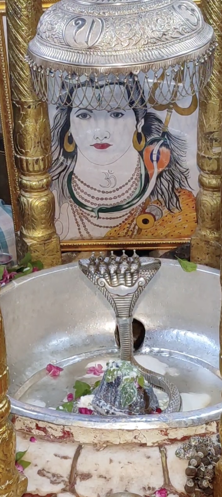 Rudrabhishek to Shree Kubereshwar Mahadev