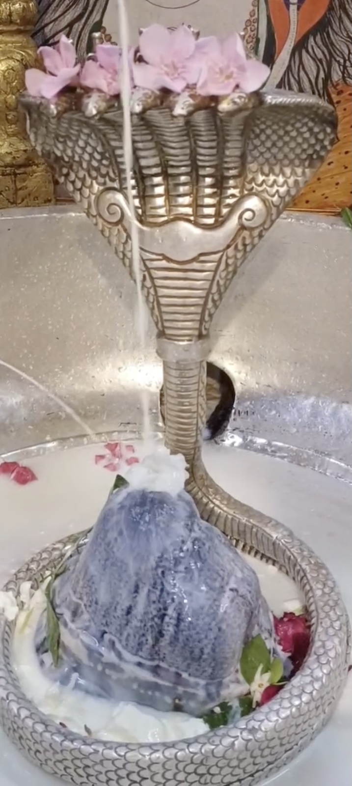 Rudrabhishek to Shree Kubereshwar Mahadev