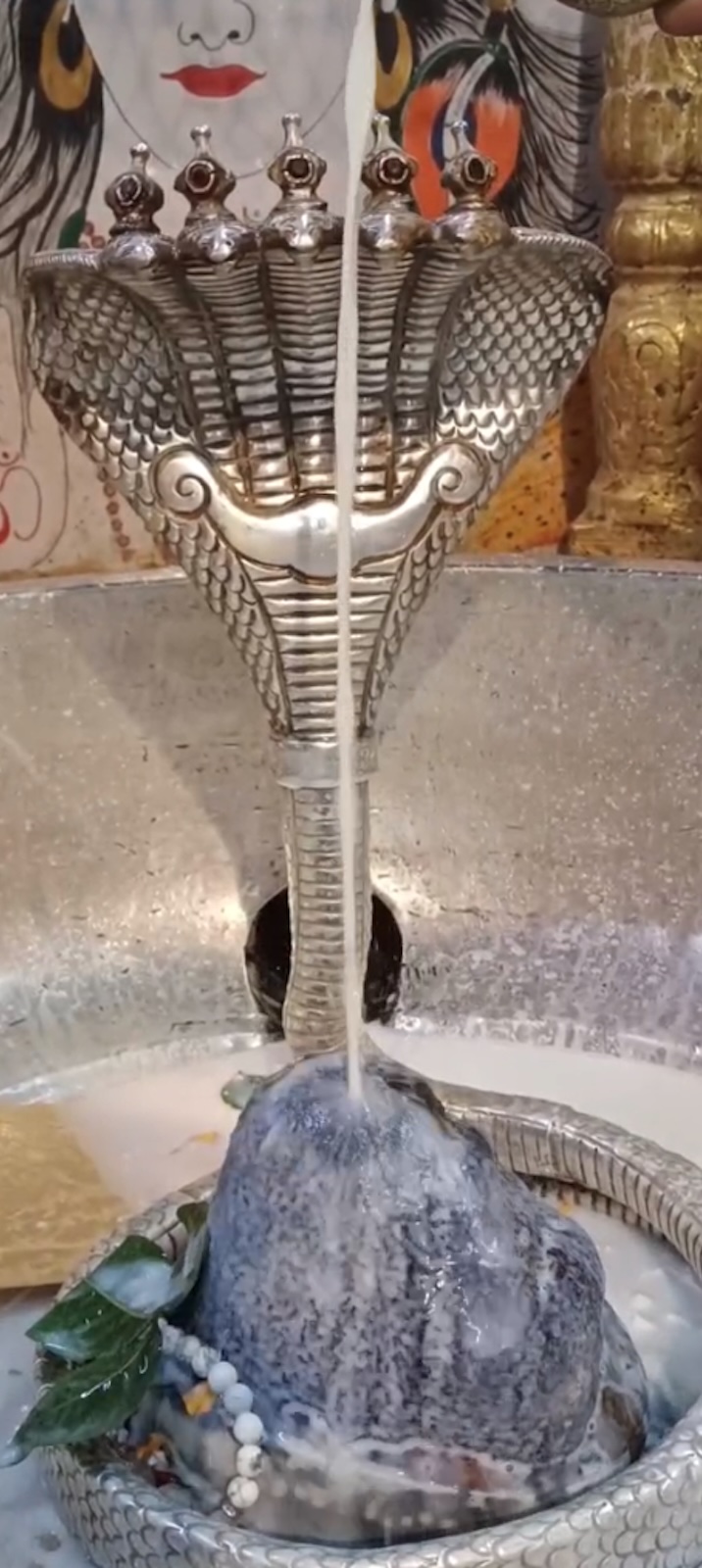 Rudrabhishek to Shree Kubereshwar Mahadev