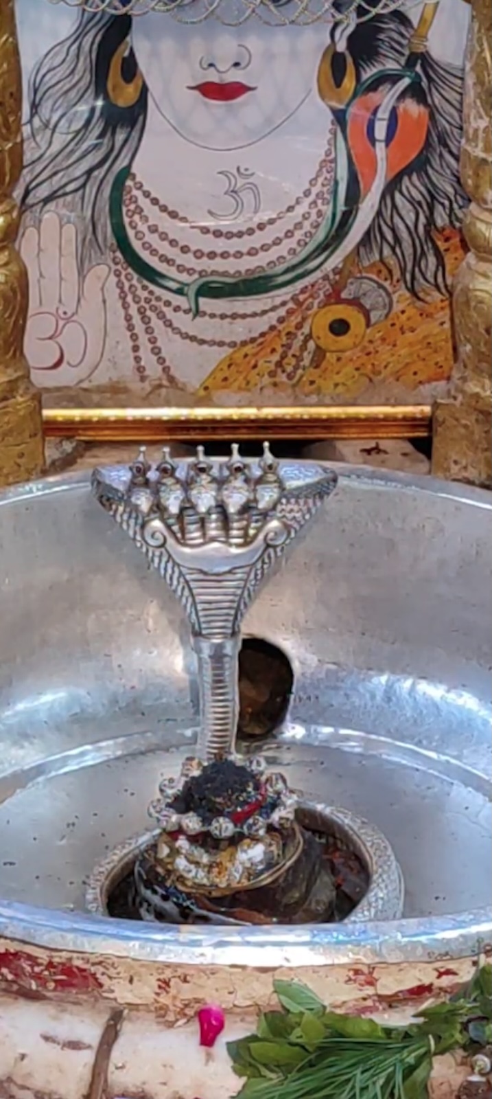 Rudrabhishek to Shree Kubereshwar Mahadev