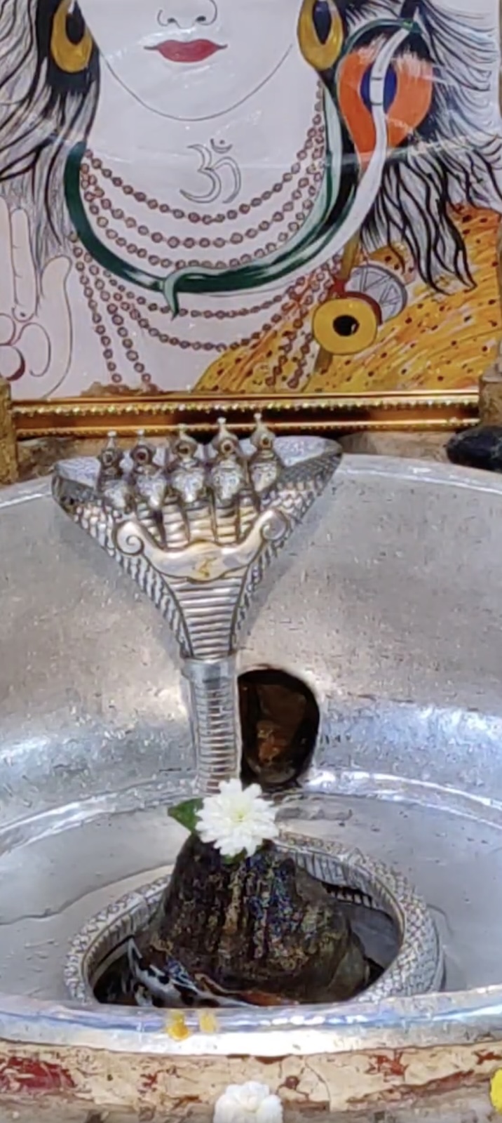 Rudrabhishek to Shree Kubereshwar Mahadev