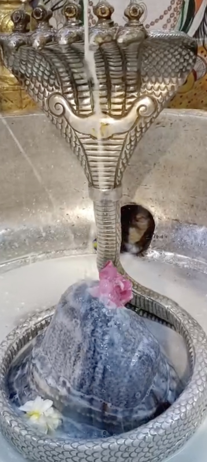 Rudrabhishek to Shree Kubereshwar Mahadev