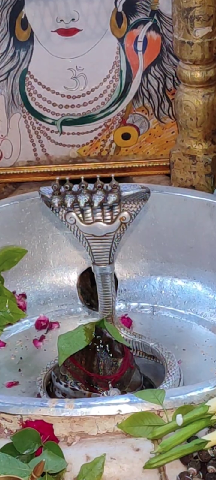 Rudrabhishek to Shree Kubereshwar Mahadev
