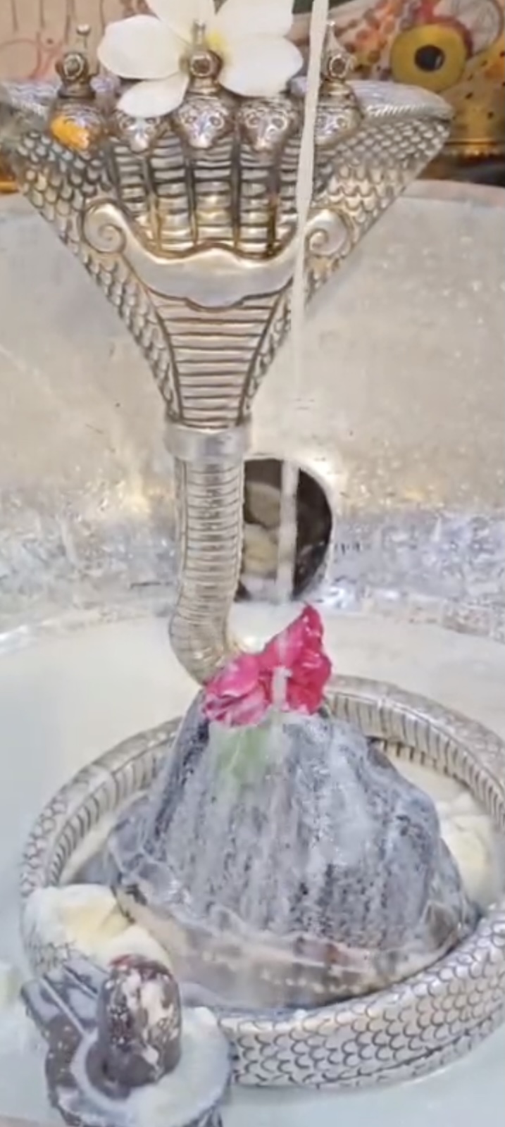 Rudrabhishek to Shree Kubereshwar Mahadev