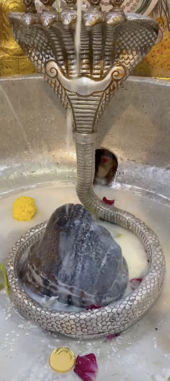 Rudrabhishek to Shree Kubereshwar Mahadev