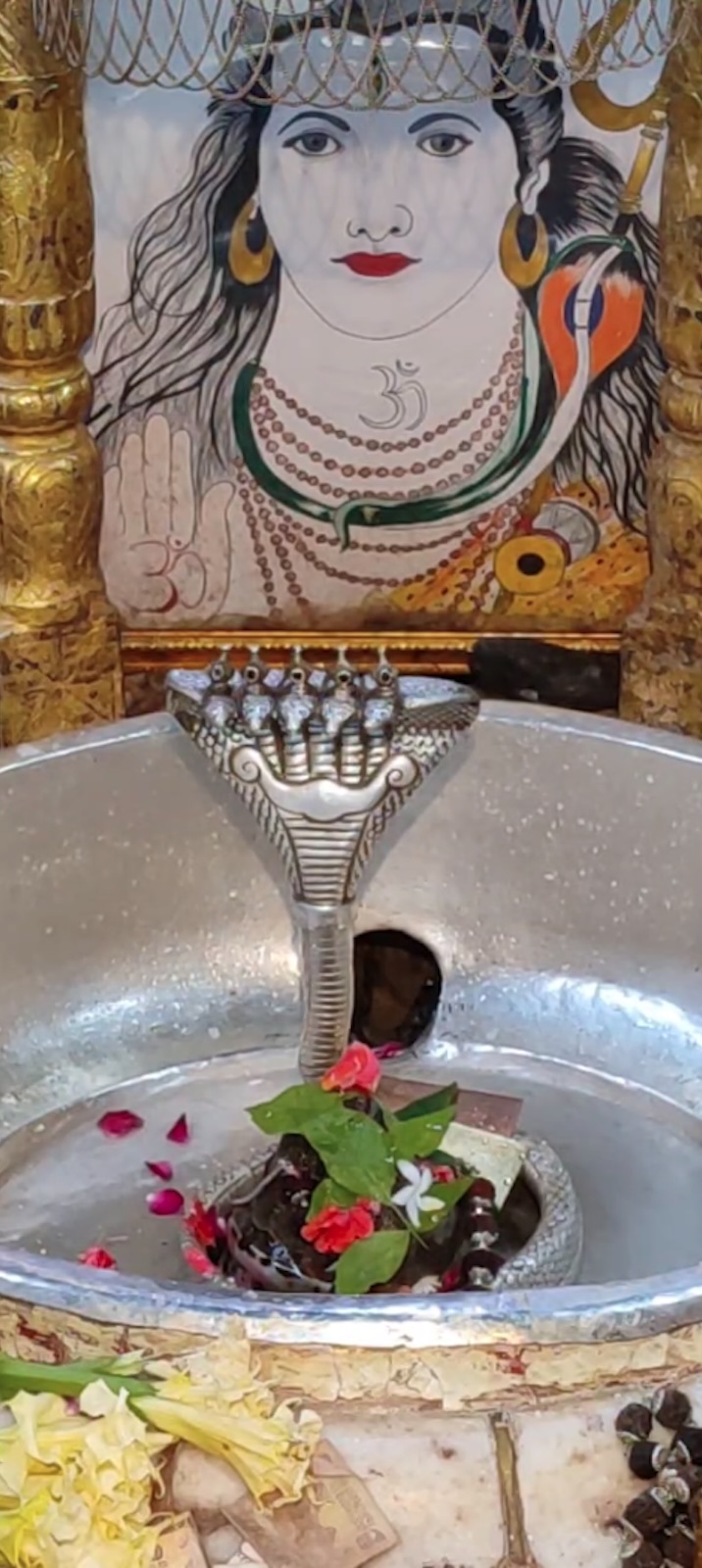 Rudrabhishek to Shree Kubereshwar Mahadev