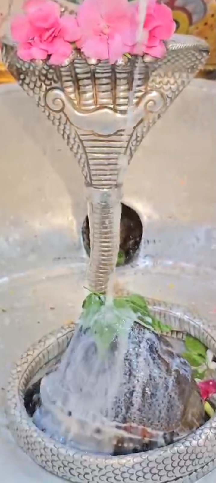 Rudrabhishek to Shree Kubereshwar Mahadev