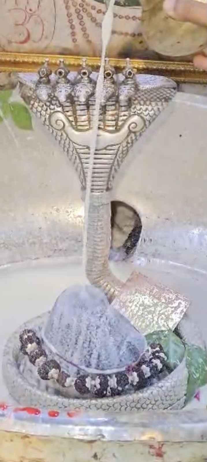 Rudrabhishek to Shree Kubereshwar Mahadev