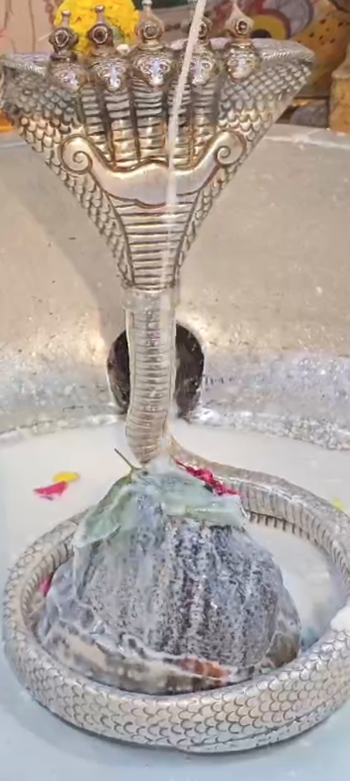 Rudrabhishek to Shree Kubereshwar Mahadev