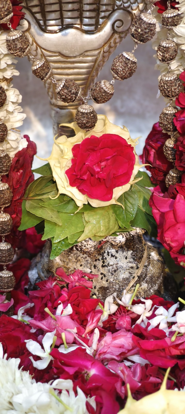 Rudrabhishek to Shree Kubereshwar Mahadev
