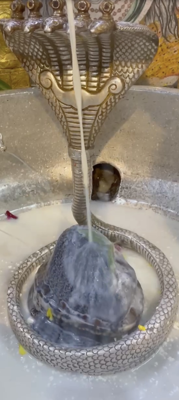 Rudrabhishek to Shree Kubereshwar Mahadev