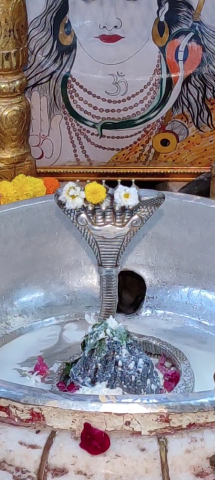 Rudrabhishek to Shree Kubereshwar Mahadev
