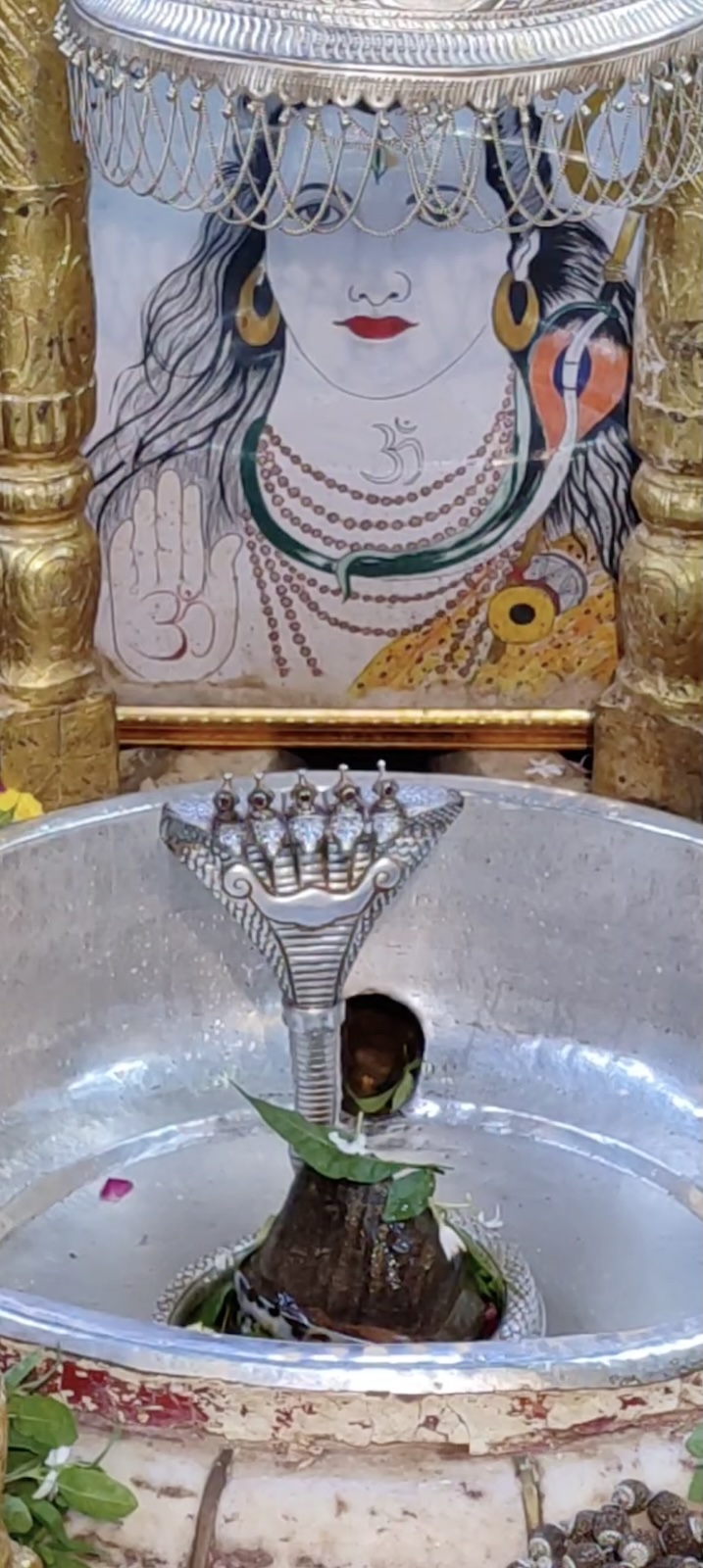 Rudrabhishek to Shree Kubereshwar Mahadev