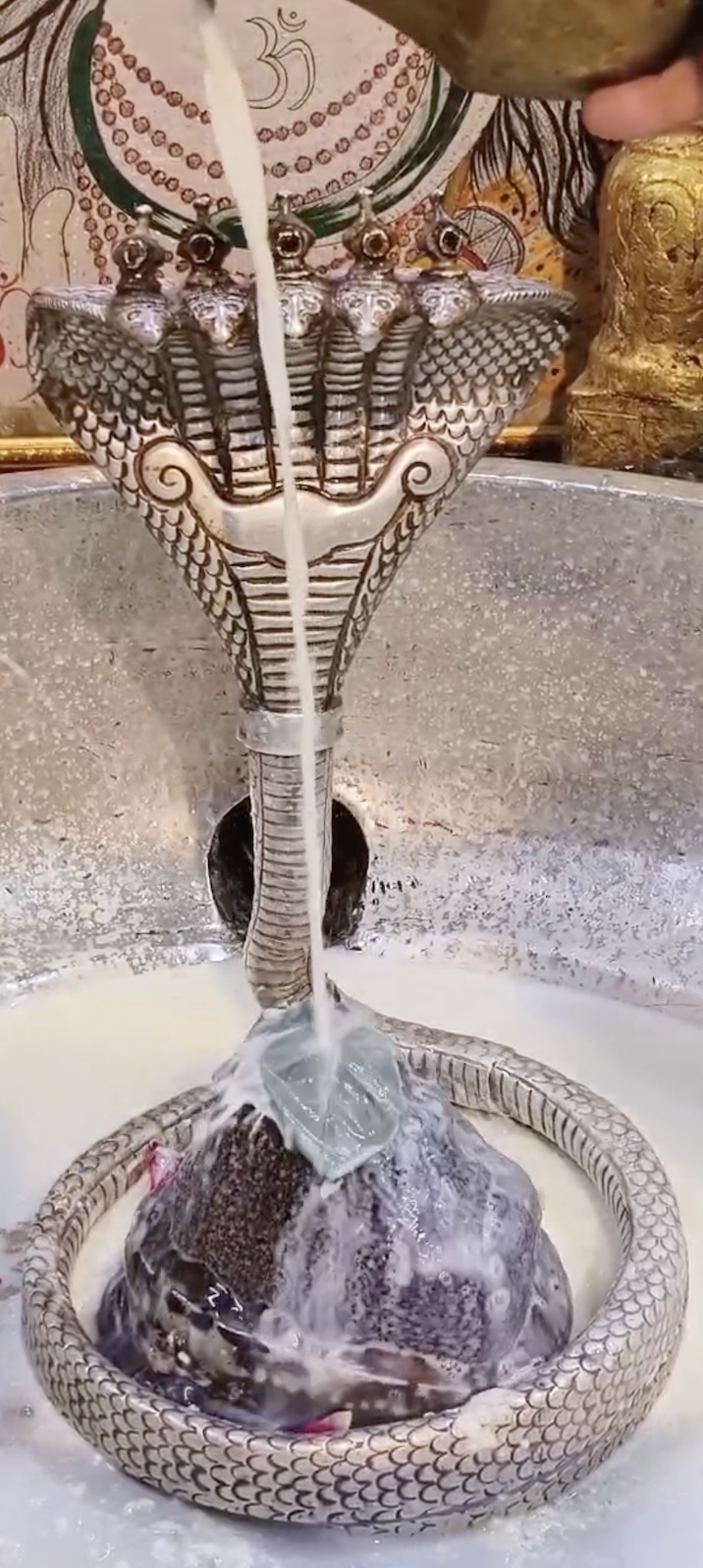 Rudrabhishek to Shree Kubereshwar Mahadev