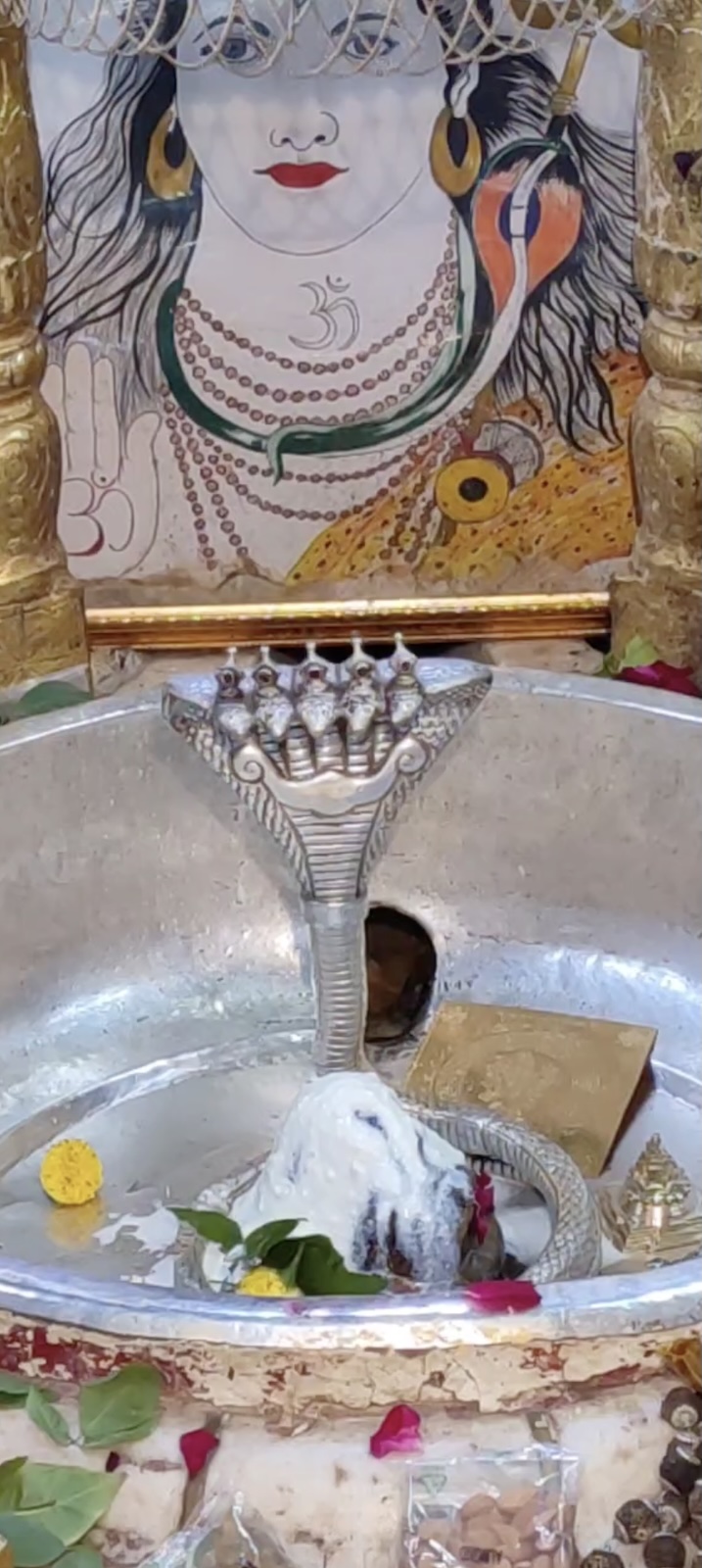 Rudrabhishek to Shree Kubereshwar Mahadev