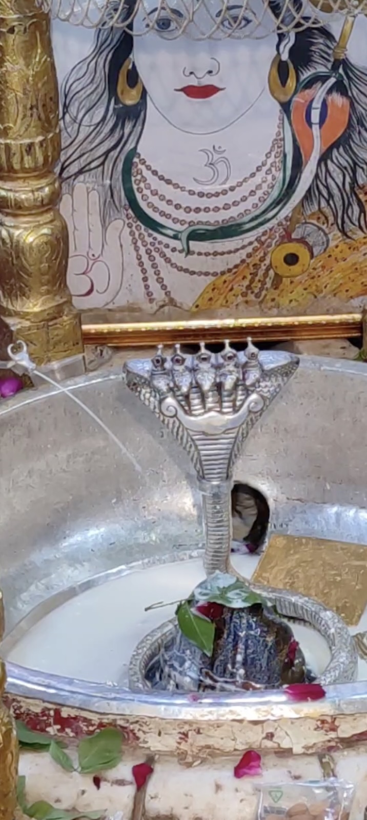 Rudrabhishek to Shree Kubereshwar Mahadev