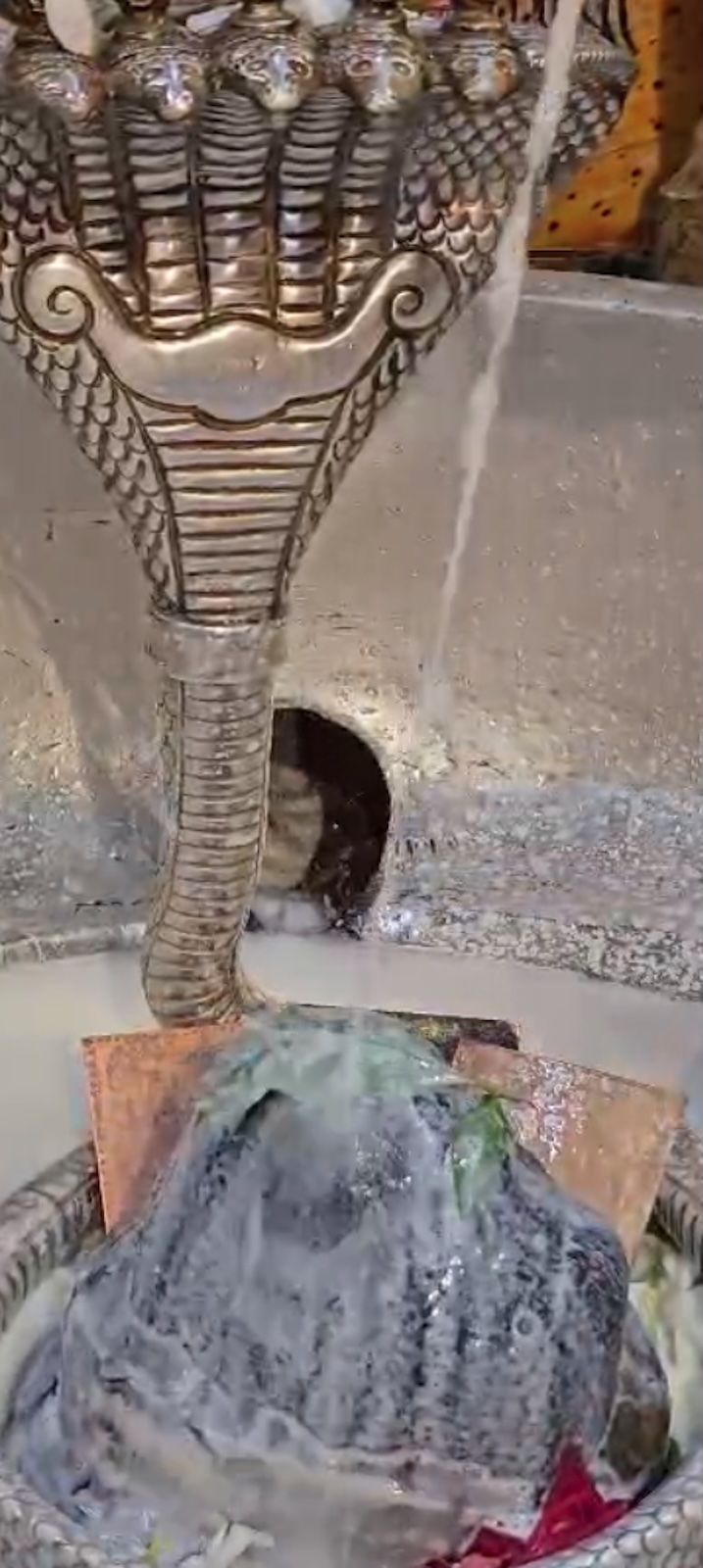 Rudrabhishek to Shree Kubereshwar Mahadev