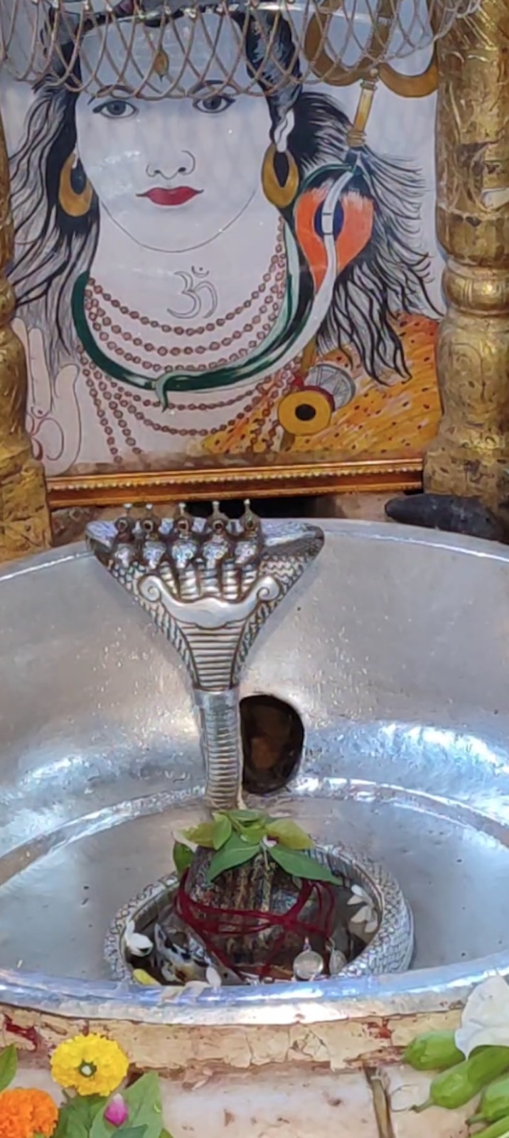 Rudrabhishek to Shree Kubereshwar Mahadev