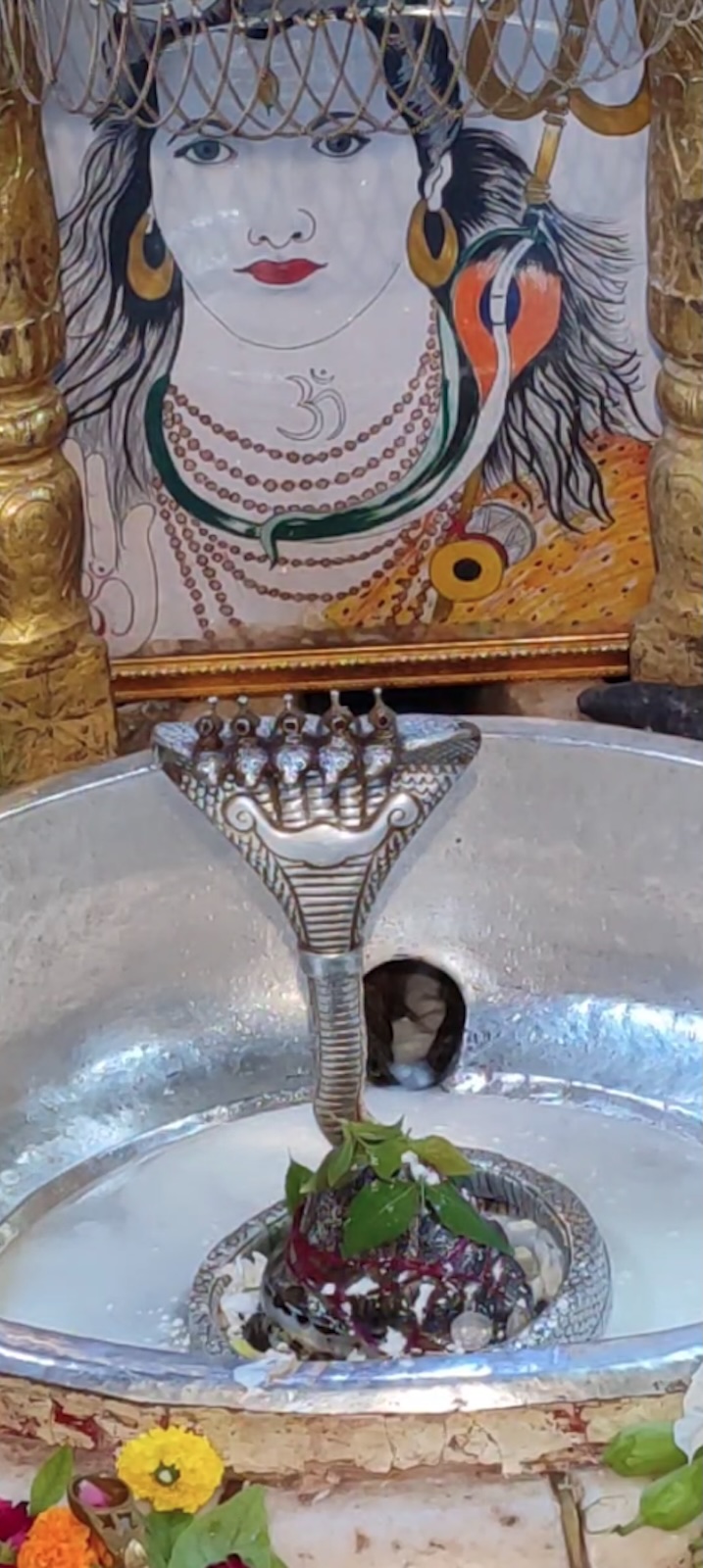 Rudrabhishek to Shree Kubereshwar Mahadev