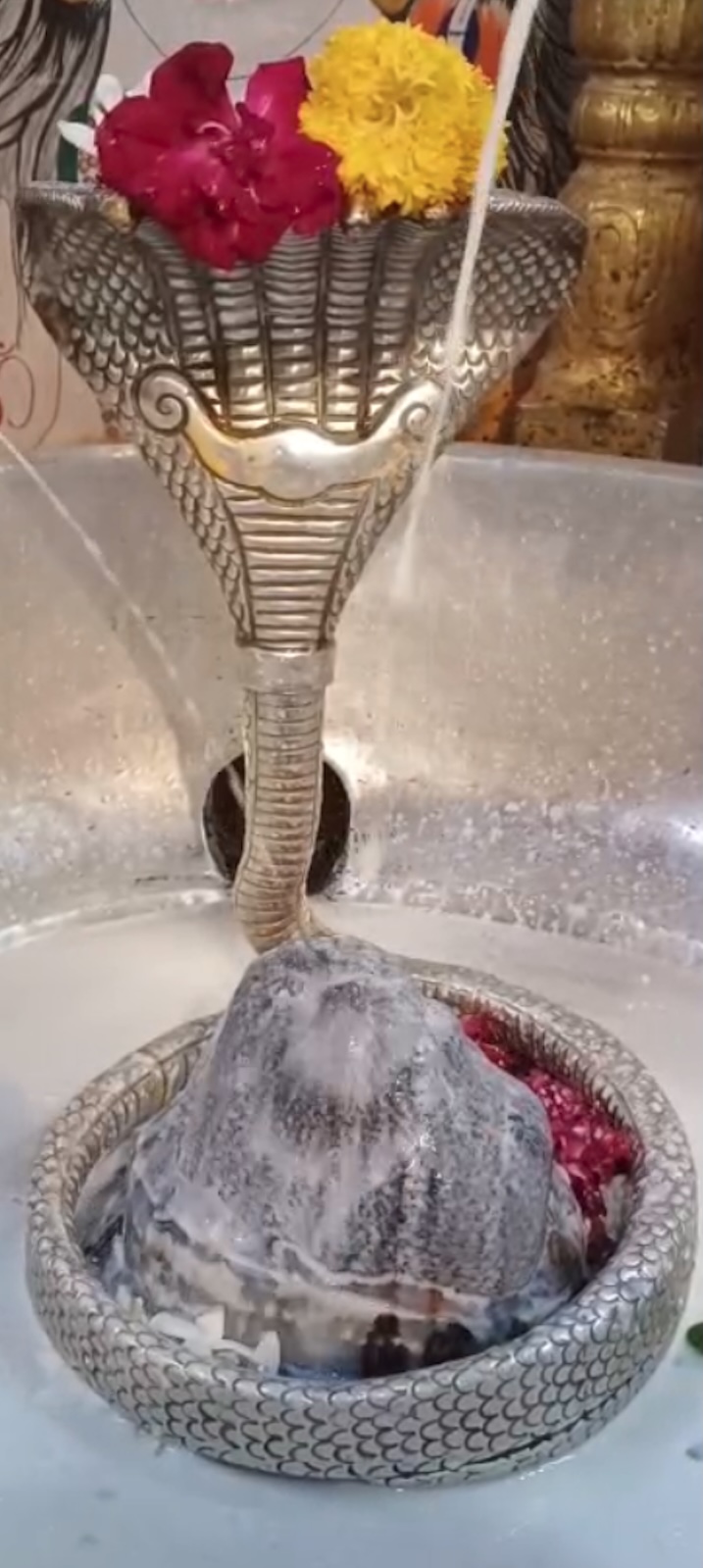 Rudrabhishek to Shree Kubereshwar Mahadev