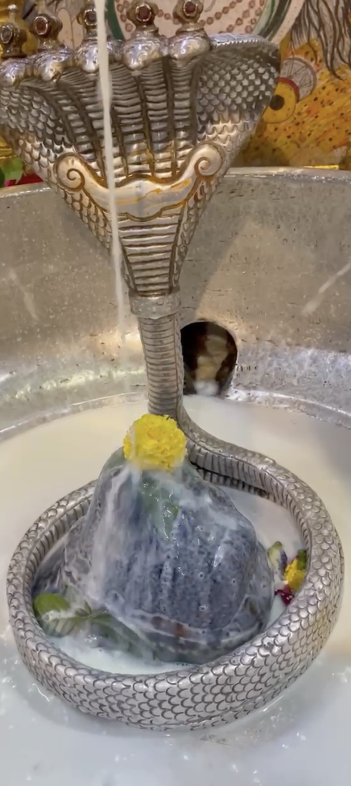 Rudrabhishek to Shree Kubereshwar Mahadev