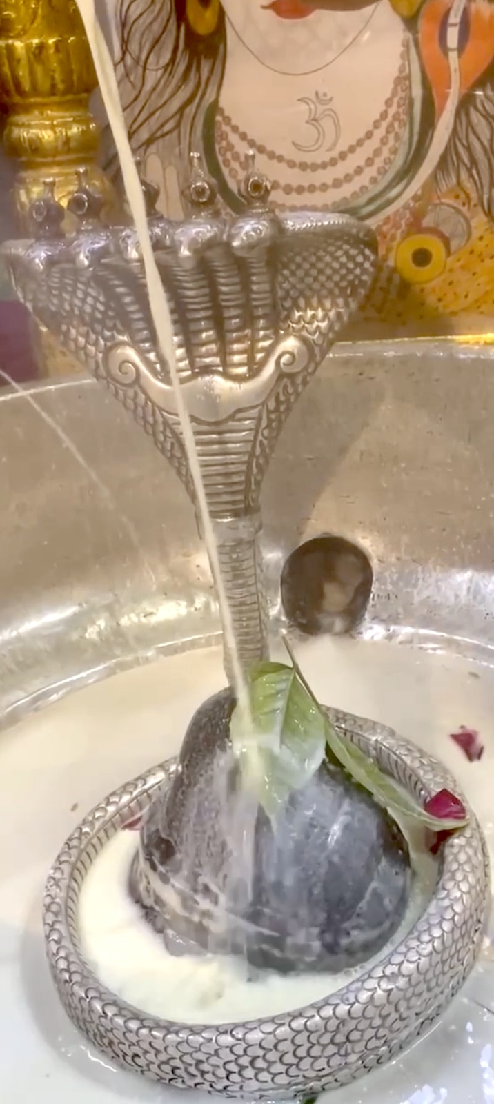 Rudrabhishek to Shree Kubereshwar Mahadev