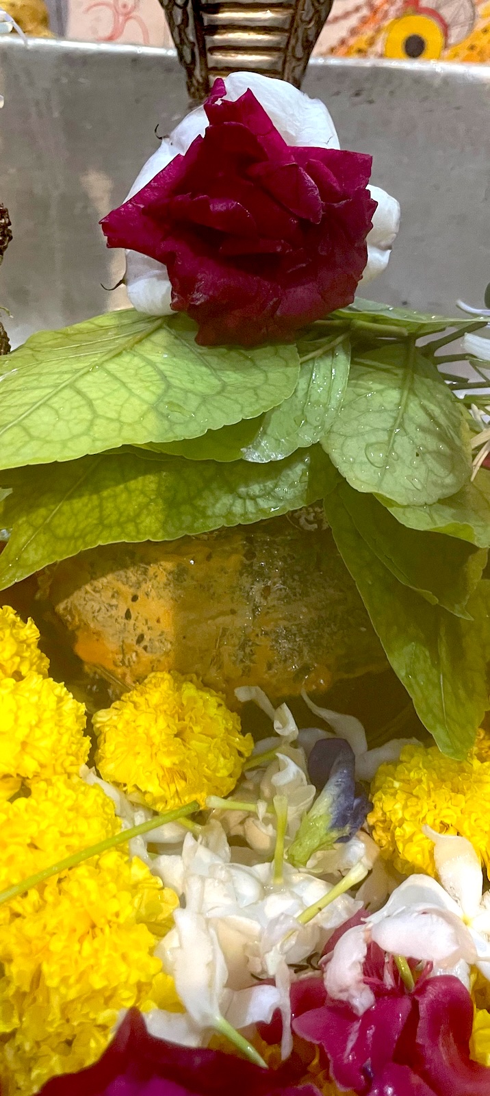 Rudrabhishek to Shree Kubereshwar Mahadev