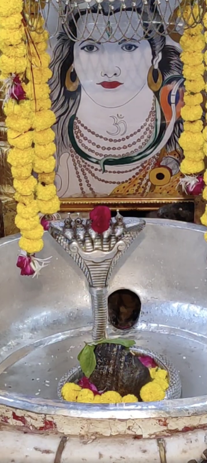 Rudrabhishek to Shree Kubereshwar Mahadev