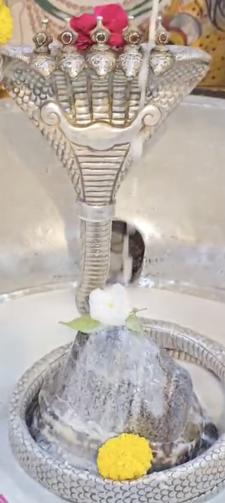 Rudrabhishek to Shree Kubereshwar Mahadev