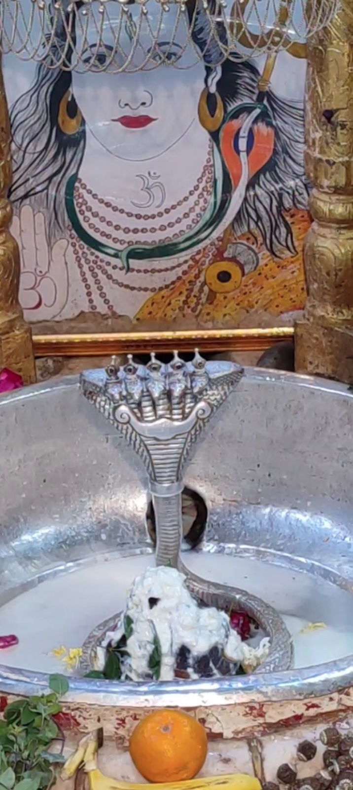 Rudrabhishek to Shree Kubereshwar Mahadev