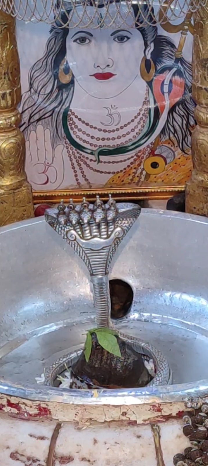 Rudrabhishek to Shree Kubereshwar Mahadev