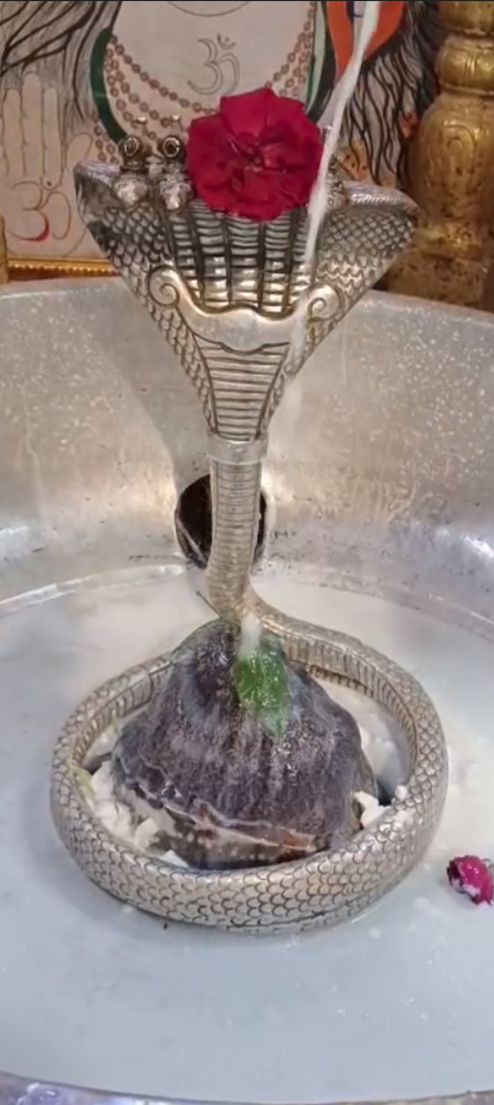 Rudrabhishek to Shree Kubereshwar Mahadev