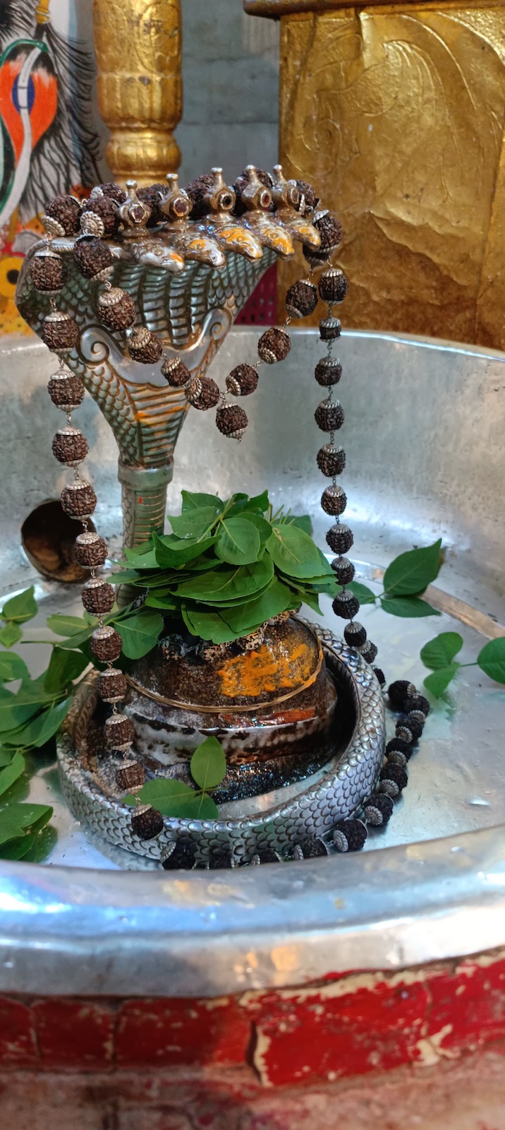 Rudrabhishek to Shree Kubereshwar Mahadev