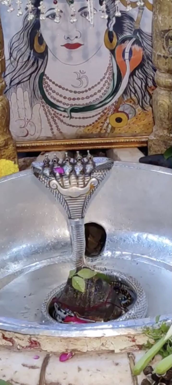 Rudrabhishek to Shree Kubereshwar Mahadev